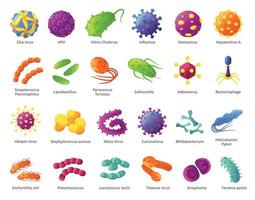 cartone animato microbo. biologico microrganismi, virus cellule, infettando germi, batteri. patogenicità organismi e causando malattia microbi vettore impostato