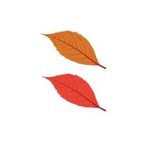 Due simpatico colore le foglie vettore arte opera.