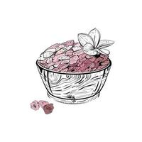 vettore illustrazione di impostato con rosa mare cosmetico sale su ciotola e magnolia fiore su bianca sfondo. nero schema, grafico disegno nel curve. per cartoline, design e composizione decorazione