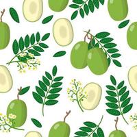 Vector cartoon seamless pattern con spondias dulcis o ambarella frutti esotici, fiori e foglie su sfondo bianco