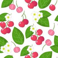 Vector cartoon seamless pattern con muntingia calabura o capulin frutti esotici, fiori e foglie su sfondo bianco