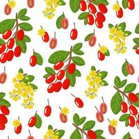 Vector cartoon seamless pattern con berberis vulgaris o crespino frutti esotici, fiori e foglie su sfondo bianco