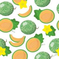 Vector cartoon seamless pattern con cantalupensis o cucumis melo frutti esotici, fiori e foglie su sfondo bianco