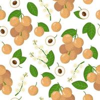 Vector cartoon seamless pattern con dimocarpus longan frutti esotici, fiori e foglie su sfondo bianco