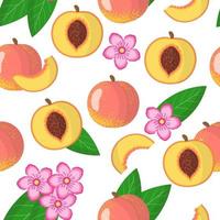 Vector cartoon seamless pattern con prunus persica o pesca frutta esotica, fiori e foglie su sfondo bianco