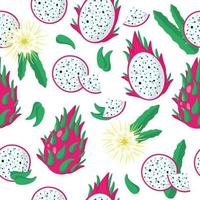 Vector cartoon seamless pattern con hylocereus o dragonfruit frutti esotici, fiori e foglie su sfondo bianco