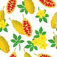 Vector cartoon seamless pattern con momordica o melone amaro frutti esotici, fiori e foglie su sfondo bianco