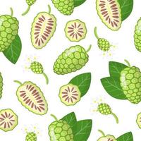 Vector cartoon seamless pattern con morinda citrifolia o noni frutti esotici, fiori e foglie su sfondo bianco