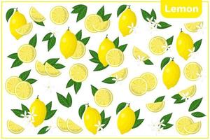 serie di illustrazioni vettoriali di cartone animato con limone frutta esotica, fiori e foglie isolati su priorità bassa bianca