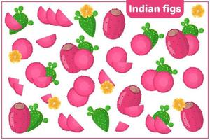 serie di illustrazioni vettoriali di cartone animato con fichi d'india frutta esotica, fiori e foglie isolati su priorità bassa bianca