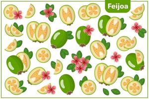 serie di illustrazioni vettoriali di cartone animato con frutti esotici feijoa, fiori e foglie isolati su priorità bassa bianca