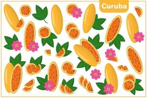 serie di illustrazioni vettoriali di cartone animato con curuba frutti esotici, fiori e foglie isolati su priorità bassa bianca