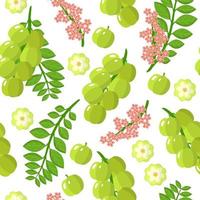 Vector cartoon seamless pattern con antille uva spina frutti esotici, fiori e foglie su sfondo bianco