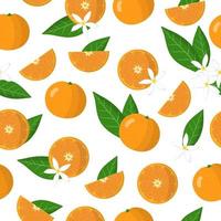 Vector cartoon seamless pattern con agrumi mandarino frutta esotica, fiori e foglie su sfondo bianco