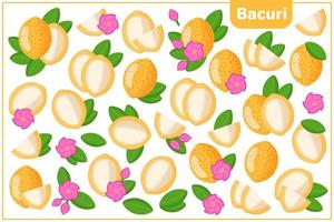 serie di illustrazioni vettoriali di cartone animato con bacuri frutti esotici, fiori e foglie isolati su priorità bassa bianca