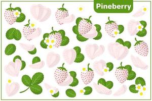 serie di illustrazioni vettoriali di cartone animato con frutti esotici di pineberry, fiori e foglie isolati su priorità bassa bianca