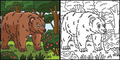 orso da colorare pagina illustrazione colorata vettore