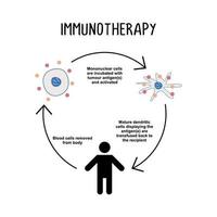 immunoterapia il uso di farmaci o altro per stimolare il del corpo immune vettore