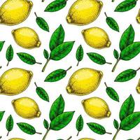 Limone senza soluzione di continuità modello. colorato mano disegnato vettore illustrazione nel schizzo stile. tropicale esotico agrume frutta estate sfondo