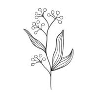 sagome nere di erba, fiori ed erbe isolati su sfondo bianco. fiori e insetti di schizzo disegnato a mano. vettore