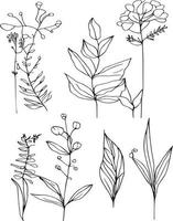botanico elemento, botanico linea disegno, Vintage ▾ botanico colorazione pagine, botanico elementi, botanico fiore illustrazione, botanico illustrazione nero e bianca, botanico linea disegno foglie, vettore