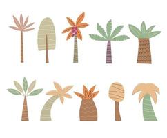 piatto vettore impostato tropicale palme isolato su bianca sfondo. cartone animato albero collezione. mano disegnato stile illustrazione.