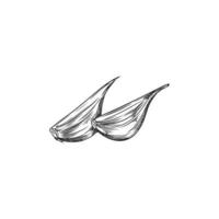 mano disegnato Chiodi di garofano di aglio, schizzo vettore illustrazione isolato su bianca sfondo.