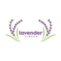 lavanda logo, semplice elegante viola fiore pianta vettore, saluto carta disegno, striscione, fiore ornamento, lavanda mano disegnato nozze, icona simbolo illustrazione vettore