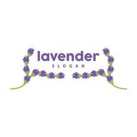 lavanda logo, semplice elegante viola fiore pianta vettore, saluto carta disegno, striscione, fiore ornamento, lavanda mano disegnato nozze, icona simbolo illustrazione vettore