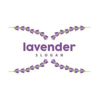 lavanda logo, semplice elegante viola fiore pianta vettore, saluto carta disegno, striscione, fiore ornamento, lavanda mano disegnato nozze, icona simbolo illustrazione vettore