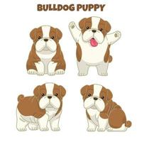 impostato carino bulldog cucciolo vettore