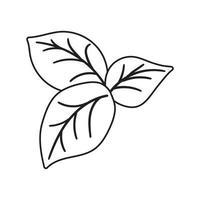 le foglie di basilico scarabocchio piatto illustrazione su bianca sfondo. vettore grafica design