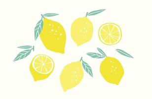 set di limoni disegnati. agrumi, limoni, lime. illustrazione vettoriale. elementi isolati vettore