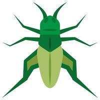 piatto colore icona per cricket insetto. vettore