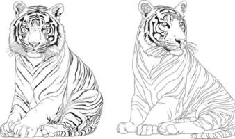 tigre colorazione pagine design vettore