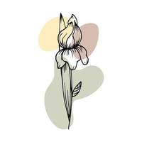mano disegnato schema fiore nel scarabocchio stile con astratto colore spruzzi aggiunto. illustrazione, vettore