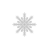 fiocco di neve, neve, inverno vettore icona illustrazione