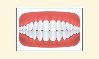 normale denti mascella icona contro giallo sfondo. vettore