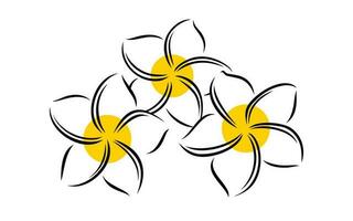 frangipani o plumeria esotico estate fiore. inciso frangipani isolato nel bianca sfondo. vettore illustrazione