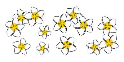frangipani o plumeria esotico estate fiore. inciso frangipani isolato nel bianca sfondo. vettore illustrazione