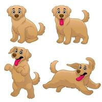 cartone animato d'oro cane da riporto cucciolo impostato nel vario posa vettore