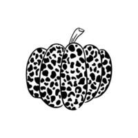 leopardo zucca icona vettore. Halloween illustrazione cartello. giardino simbolo o logo. vettore