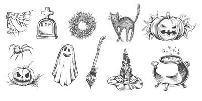 impostato di Halloween elementi nel schizzo stile. mano disegnato vettore appuntito cappello, zucca, gatto, calderone, scopa, ragno, ragno ragnatela e fantasma isolato su bianca sfondo.