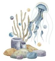 Medusa con corallo barriere e fondale marino su isolato sfondo. mano disegnato acquerello illustrazione di gelatina pesce e mare pavimento per icona o logo. subacqueo disegno nel blu e beige colori con medusa vettore