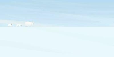 polare orsi famiglia a piedi su ghiaccio nel nebuloso tempo metereologico a nord polo vettore illustrazione. neve paesaggio concetto con vuoto spazio.