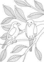 libro da colorare per bambini con uccelli sui rami vettore
