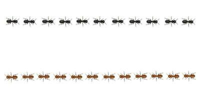 rosso e nero formiche sentieri a piedi nel un' dritto linea. realistico vettore illustrazione.