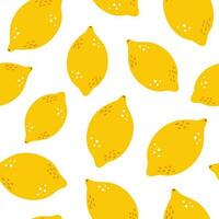 vettore senza soluzione di continuità modello con limoni. giallo tropicale frutta su bianca sfondo. estate fondale con fresco succoso limoni. botanico modello con agrume frutta.