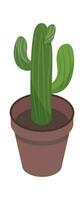 pianta della casa verde cactus nel pentola isolato su bianca vettore