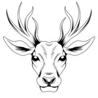 illustrazione vettoriale testa di cervo